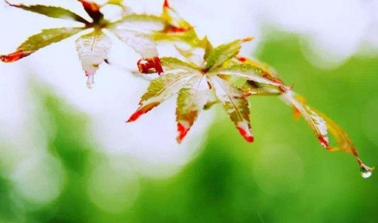 一年最热的月份