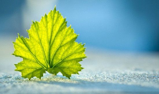 一年最热的月份