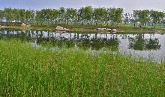 三伏天能吃冰的吗