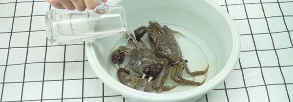 活螃蟹怎么保存