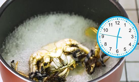 螃蟹煮多久