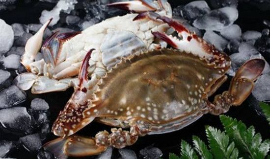 活梭子蟹怎么保存