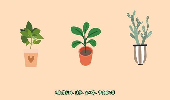 新房怎样去甲醛