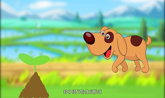 植物传播种子的方法