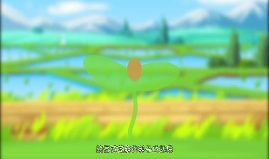 植物传播种子的方法