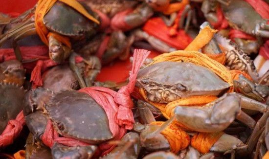 新手怎么吃螃蟹