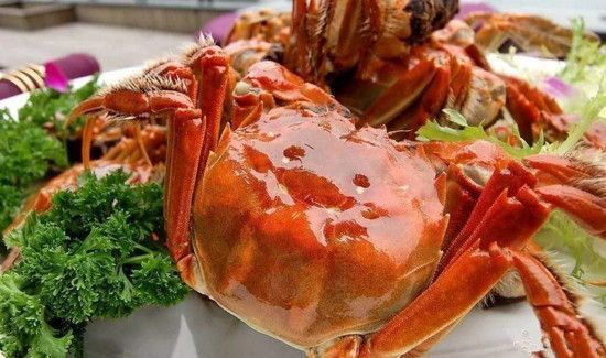 新手怎么吃螃蟹