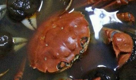 水煮螃蟹多长时间