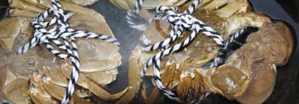 水煮螃蟹要煮多久才能吃