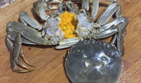 螃蟹怎么去内脏图解