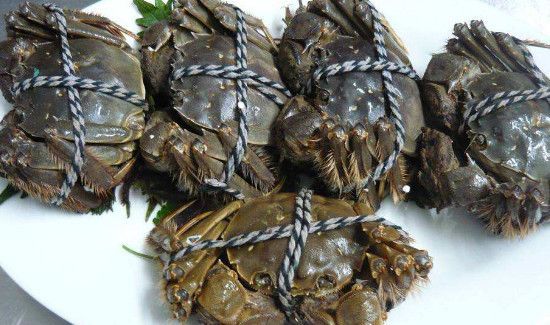 螃蟹相克的食物