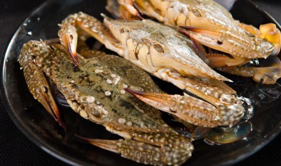 花蟹死了多久不能吃