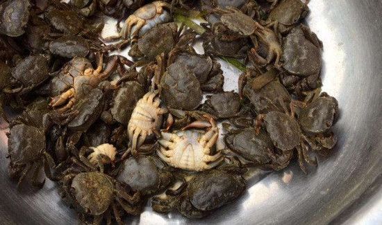 活螃蟹怎么保存过夜