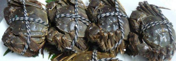 死掉的螃蟹暂时不吃怎么处理