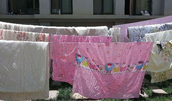 如何快速消灭尘虱