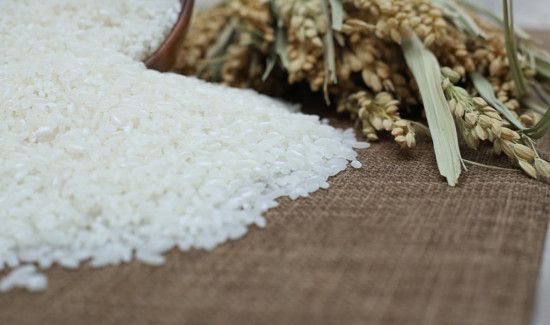 夏天米面怎样放不生虫