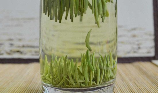 竹叶青茶好吗