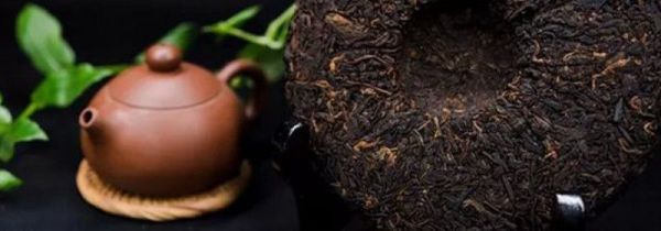 云南人不喝普洱茶