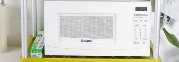 微波炉能烤蛋挞吗