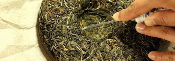 普洱茶多久喝一次