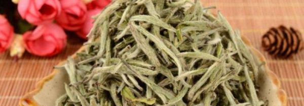 白茶的优劣怎么区分