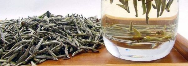 白茶能隔夜喝吗