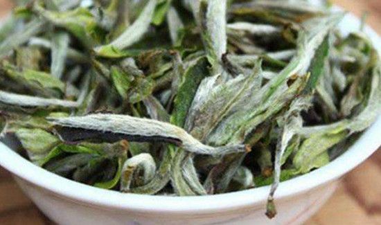 白茶能隔夜喝吗