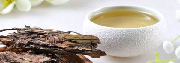 白茶能存放多少年