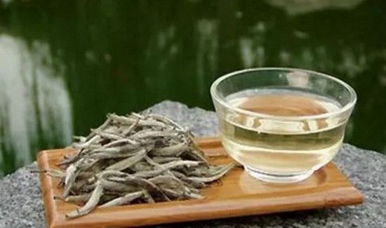 白茶能存放多少年