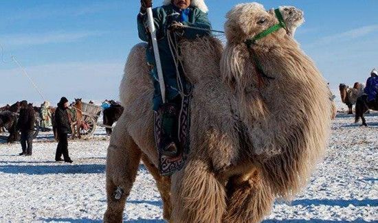 为什么南方人比北方人瘦