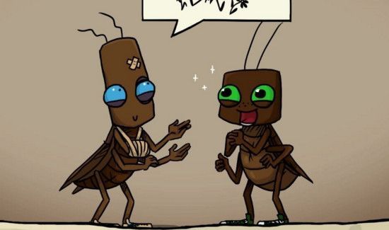 为什么南方的蟑螂大