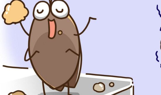 为什么南方的蟑螂大