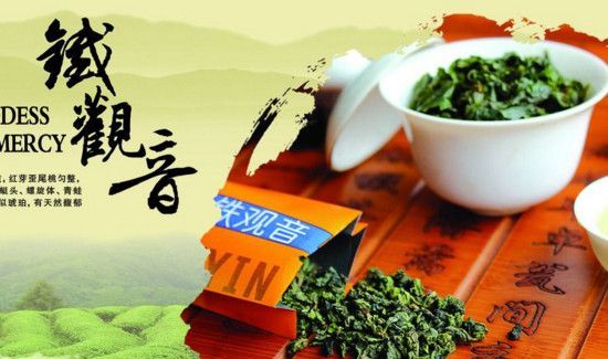 喝铁观音的禁忌