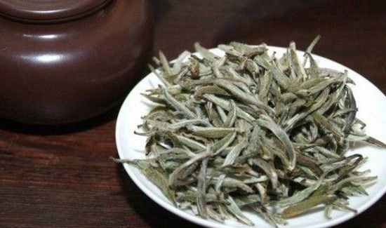 喝白茶好吗