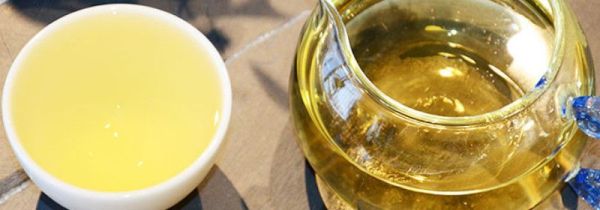 喝白茶好吗