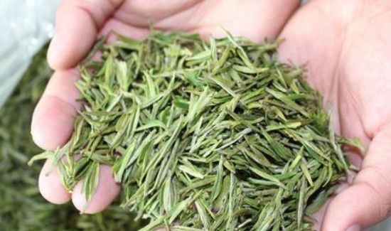 喝白茶放屁怎么回事