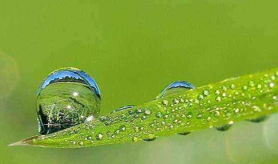 白露节气的含义是什么