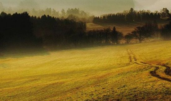 白露节气的含义是什么