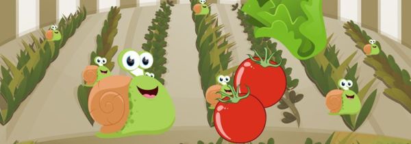 蜗牛是益虫还是害虫