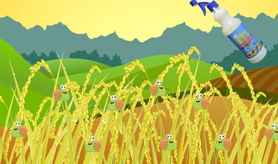 蜗牛是益虫还是害虫