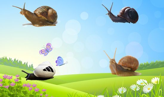 蜗牛是益虫还是害虫