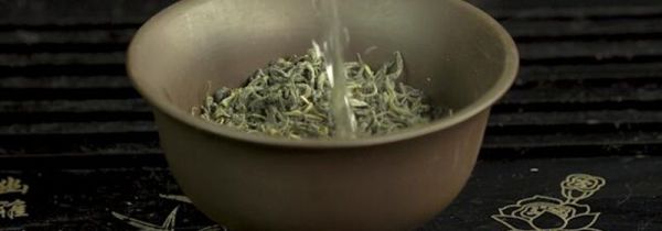 毛尖属于什么茶