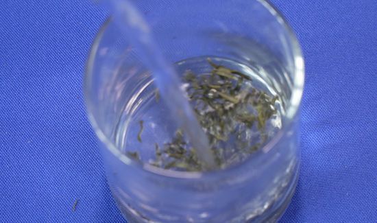绿茶有哪些品种