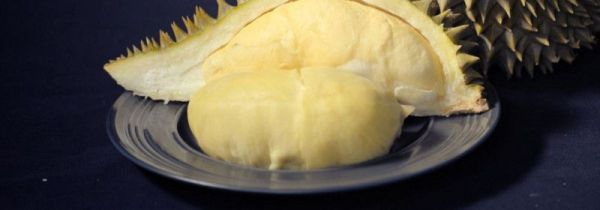 母榴莲和公榴莲的区别