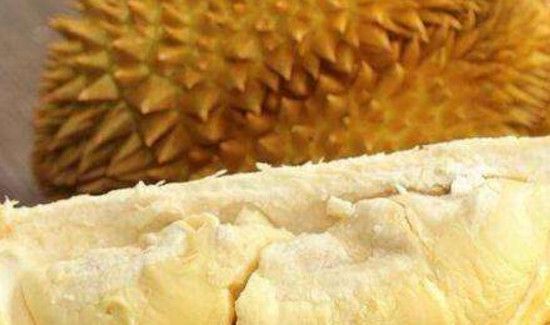 母榴莲和公榴莲的区别