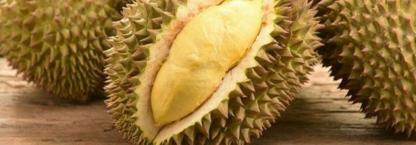 变质的榴莲是什么样子