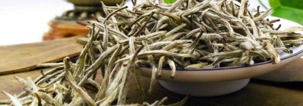 喝福鼎白茶的禁忌