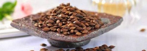 大麦茶加山楂干的功效