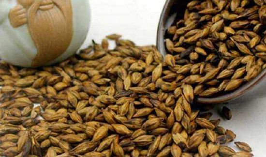 大麦茶加山楂干的功效