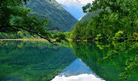 追女孩的浪漫小花招